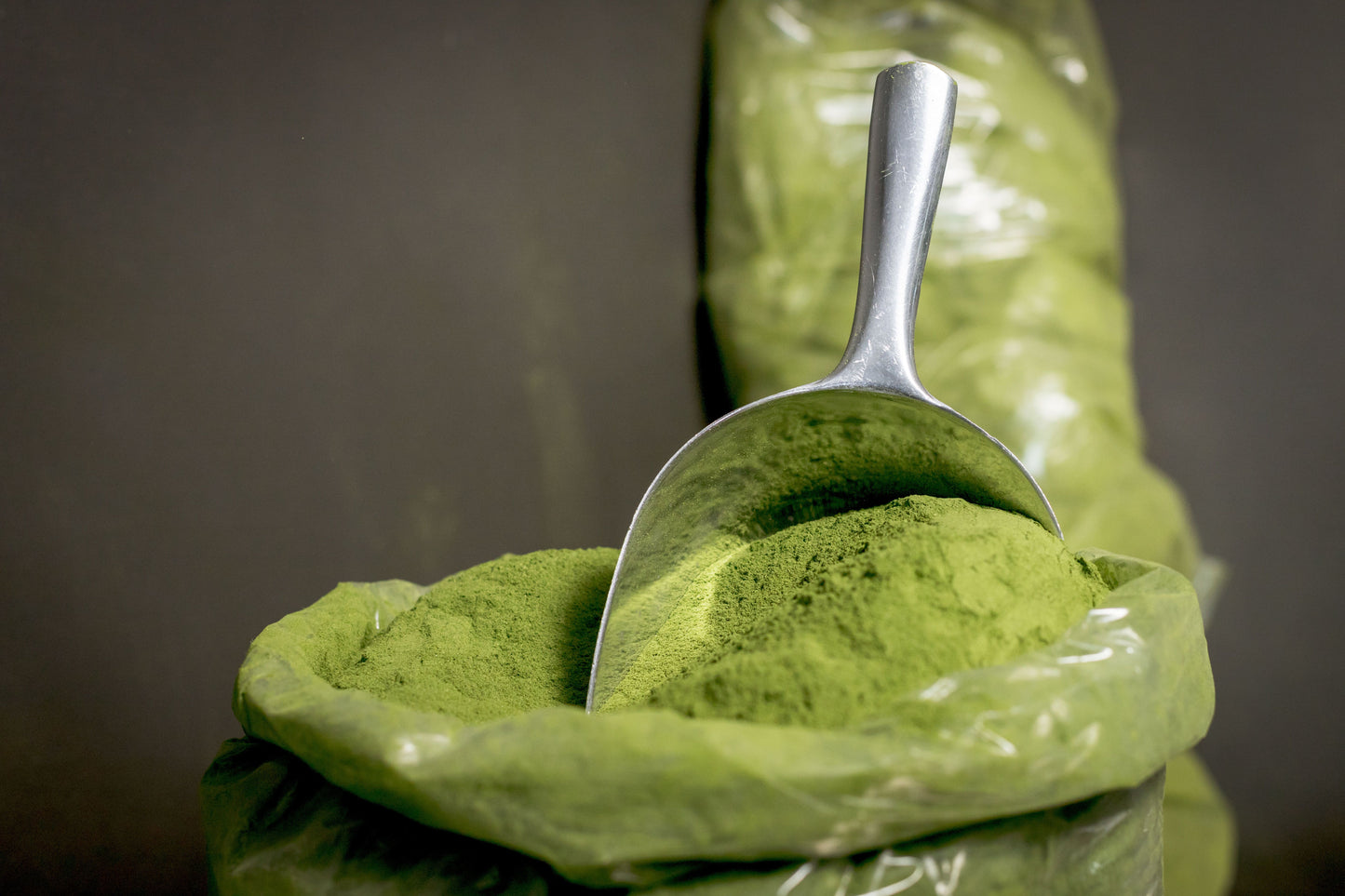 Poudre de moringa verte bio
