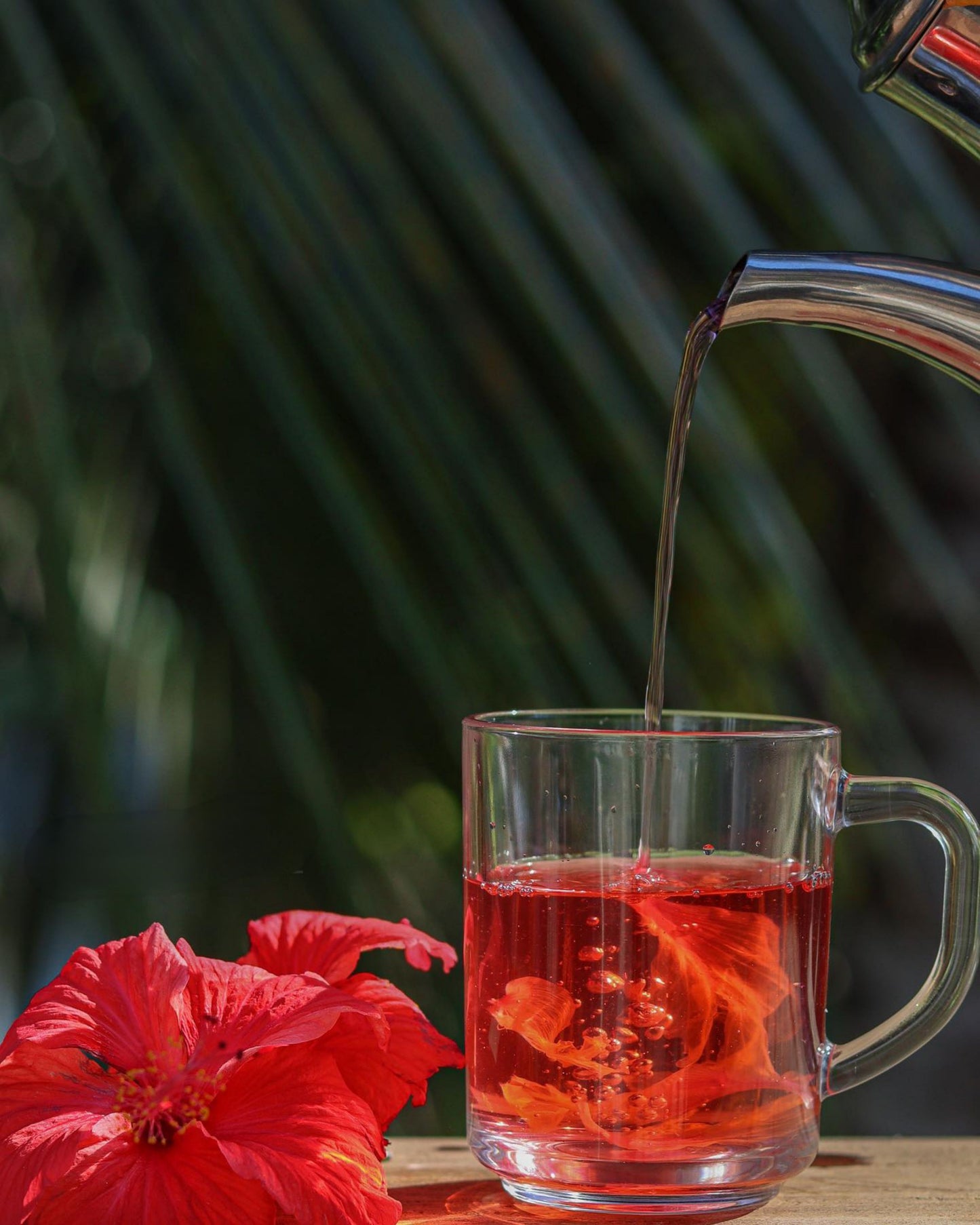 Bissap - infusion de fleurs d'hibiscus
